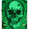 Зажигалка ZIPPO Skull Design с покрытием Glow In The Dark Green 48640