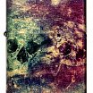 Зажигалка ZIPPO 46147 Galaxy Skull с покрытием 540 Tumbled Brass