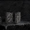 Зажигалка ZIPPO Mushroom Skulls с покрытием High Polish Black 46425