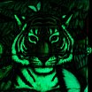 Набор зажигалок ZIPPO 49347 Загадки леса с покрытием Glow-in-the-Dark Green 