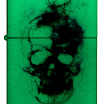 Зажигалка ZIPPO Skull Design с покрытием Glow In The Dark Green 48563