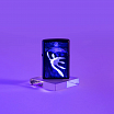 Зажигалка ZIPPO Lock Ness с покрытием Black Light 49697